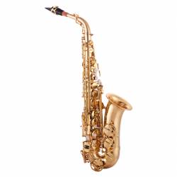 John Packer JP041