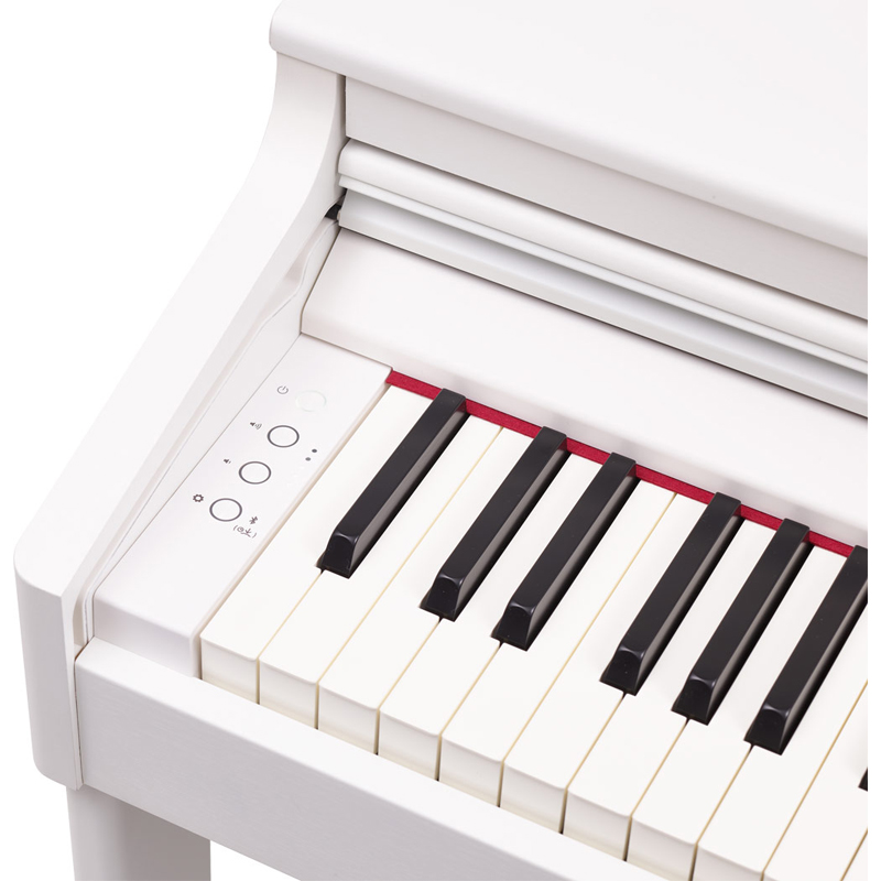 Roland_RP701-WH_004